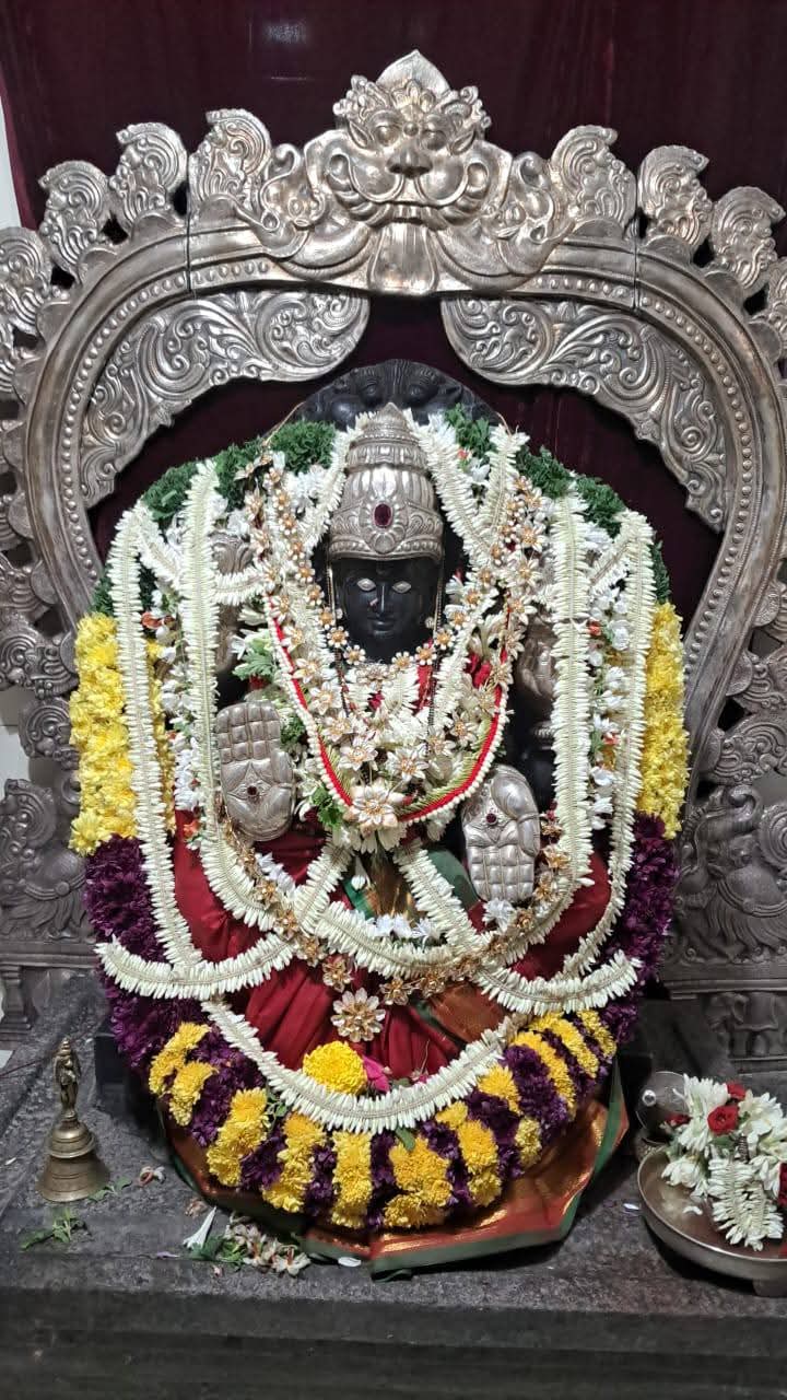 WhatsApp Image 2026 03 02 At 08.42.15